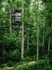 Modern home with Exterior and Treehouse Building Type. The Sustainability tree house is home base for the National Scout Jamboree, a weeklong event that's usually held every four years. The 2013 event was the first held at the new location in the Summit Bechtel Reserve. Seattle-based firm Mithun led the multidisciplinary team that worked on the project. BNIM is the architect of record, Nelson Byrd Woltz masterminded the landscaping, the structural engineering is by by Tipping Mar, and the exhibit design is by Volume, Inc. and Studio Terpeluk. Photo 2 of Sustainability Treehouse