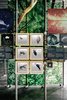 An exhibit on biodiversity offers insight into local flora and fauna. Photo 9 of Sustainability Treehouse modern home