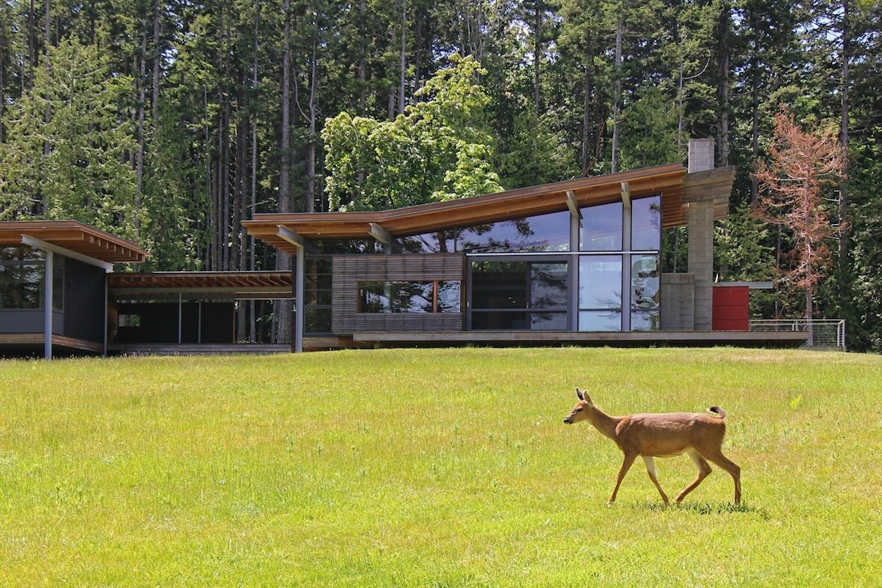 The 3,000-square-foot house sits partially on stilts to tread as lightly as possible on its natural island site.