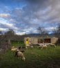 “This is a humanized landscape of meadows, walls, ash, streams, a small-scale landscape, minimal, almost domestic, and where absolutely everything happens in yellow,” the architects wrote in a statement. To that end, the only hint of color on the house’s otherwise natural exterior is a door painted a vibrant lemon-yellow hue. Photo of 40+ Yellow Modern Home Design Ideas modern home