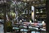 Modern home with Dining Room, Chair, Table, Pendant Lighting, and Bench. Cecconis (Miami, Florida)
Architect Martin Brudnizki chose to incorporate a little local color into the Miami outpost of the sophisticated London bistro, Cecconis. Seafoam seat cushions set amid lush greenery create a romantic interplay between indoor and out. Photo of The 10 Best-Designed Restaurants in America