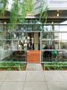 Modern home with Doors, Exterior, Wood, and Swing Door Type. Dunbar and Astrakhan's low-cost, high-impact tour de force is a storefront facade constructed from salvaged double-insulated window glass panels arranged in a shingle pattern. Photo of These Modern Glass Homes Shatter Conventions