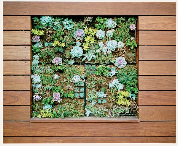The vertical planter in the deck contains ten varieties of succulents.