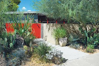 Landscape Design for All Climates