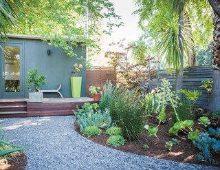 A gravel path leads to a guesthouse, where Trainor supplemented an existing garden of yuccas and palm trees with succulent aeoniums and flowering euphorbias.