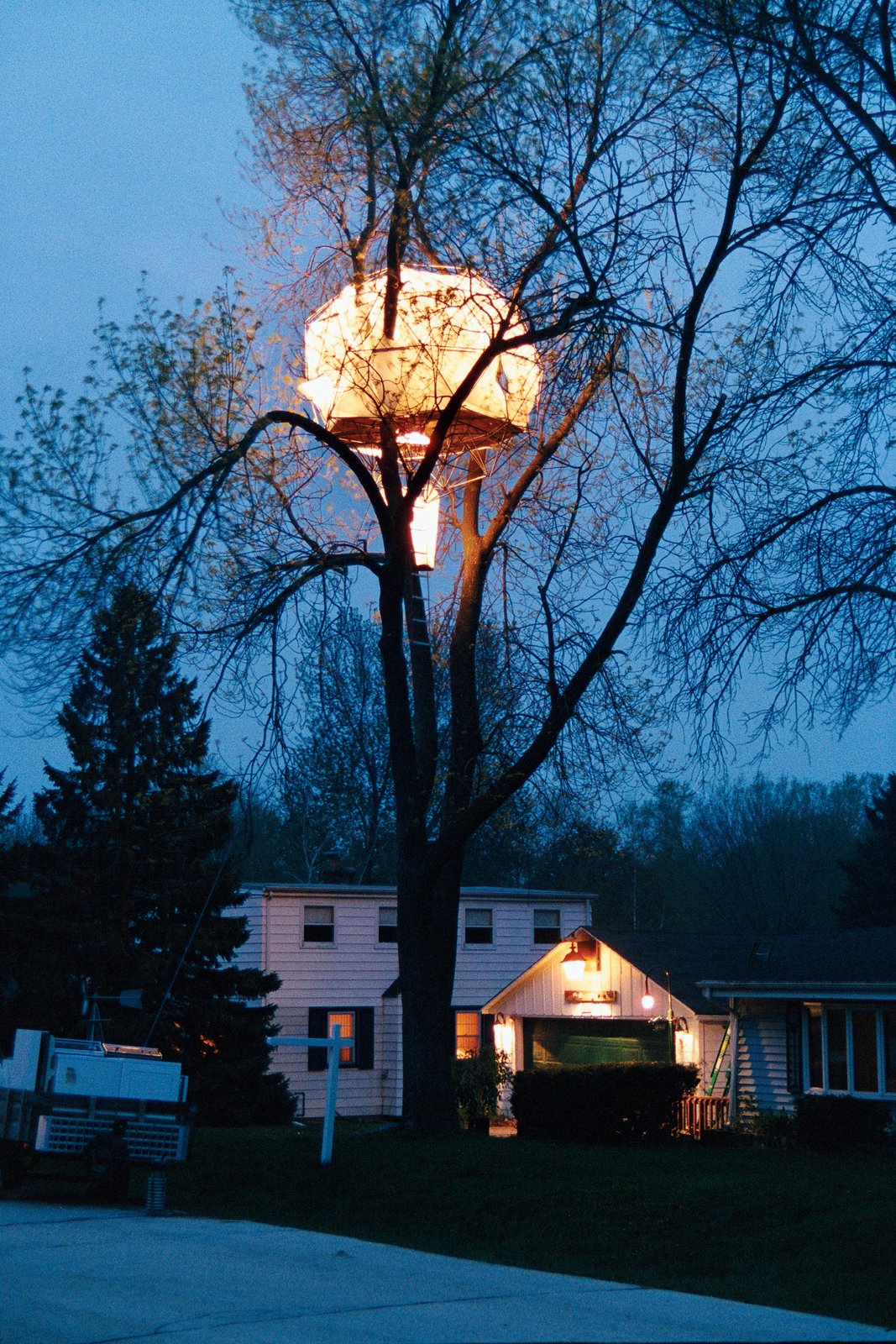 Photo 6 Of 25 In Photo Essay Enchanting Tree Houses From By Poplar 