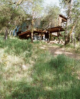"In a regular house you can't hear the birds or feel the fresh air," says Meffan, contrasting it with his greenhouse-within-a-house.