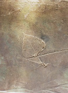 As Meffan was hand-troweling the concrete floor, his daughter ran in with different leaf specimens from the property, like ferns and bamboo. Meffan pressed the leaves into the drying concrete and later swept the crumbling leaves away, leaving "fossil" impressions in the floor. The floor was then sealed with a nontoxic acrylic.
