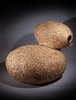 Cocoon Plan: Sofa. Bamboo. Designer: Rock Wang, Craft Maker: Koo-ming Chen. Silkworms eventually covered this piece completely in silk. Photo of Q&A: Gijs Bakker modern home