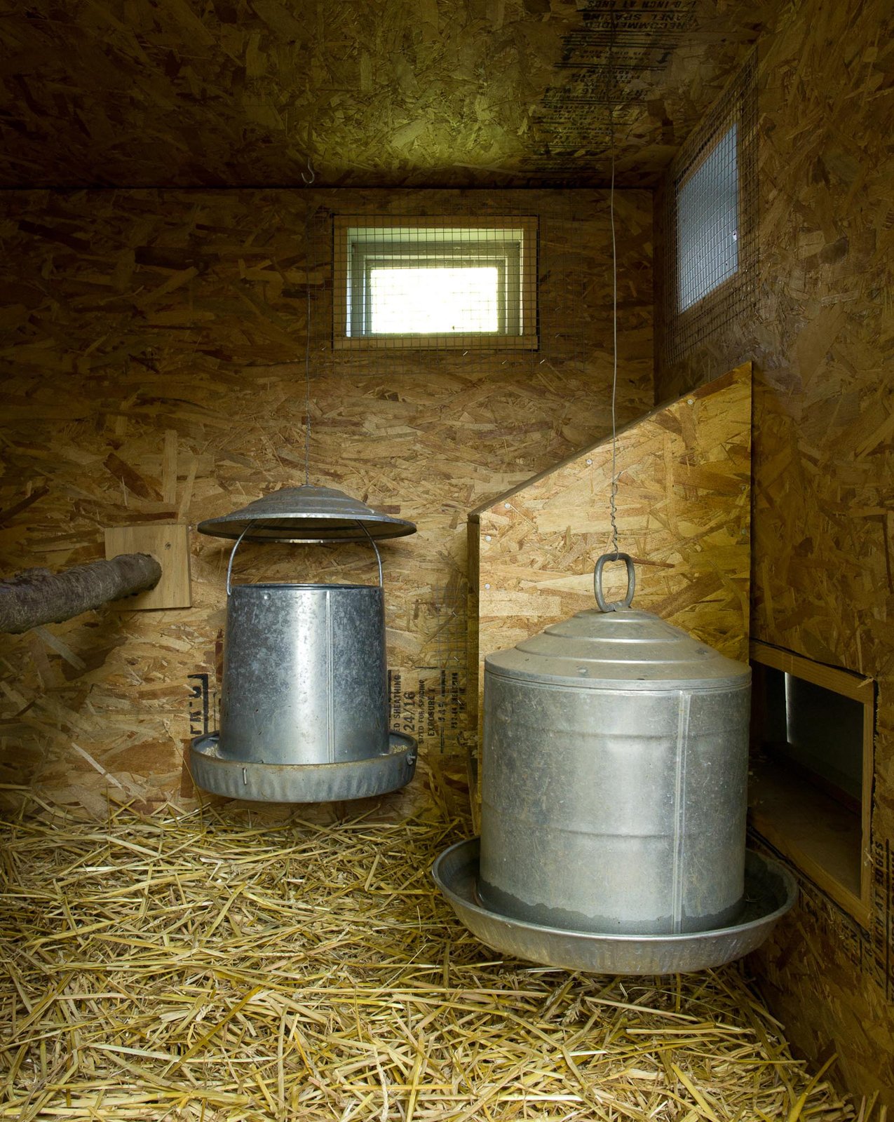 Photo 7 of 9 in Coop Dreams Dwell