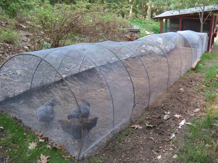Cool Chicken House by Jaime Gillin Dwell