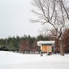 Modern home with Exterior, Cabin Building Type, Butterfly RoofLine, Wood Siding Material, and Metal Siding Material. In the winter, instead of floating over the pond, the hut sits lightly above the snow. "It's protected and serene but alive with subtle energy," Poss says. Photo by Phillip Kalantzis-Cope.
Don't miss a word of Dwell! Download our FREE app from iTunes, friend us on Facebook, or follow us on Twitter! Photo of Butterfly Roof Meditation Hut