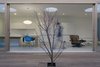 Here's a view of the kitchen space of the Tatami residence taken from the central courtyard. The owners of the home wanted privacy so Kurath oriented the house around this internal outdoor space. Photo of Roger Kurath on Prefab modern home