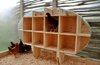 Inside the coop is an egg-shape roosting box. Chickens won't lay eggs if their nesting boxes are on the ground so one student had the idea of a hovering egg, Linn says. "When you're on the outside looking in," he adds, "you see a profile of the big egg and it's almost like of a sign of what's going on inside." Looking out, the fiberglass material that creates the walls distorts the look of the sugar maple poles on the exterior. "You get these beautiful textures and shadows that come through," Linn says. Photo of Chicken Chapel modern home