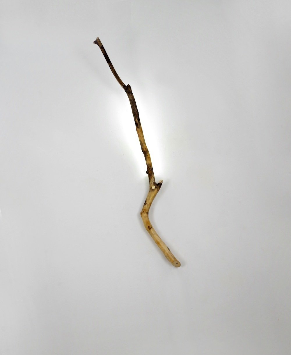 Small stick. Small stick