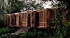 Modern home with Exterior, House Building Type, Wood Siding Material, and Flat RoofLine. In this house in downtown Miami, lightweight, shuttered Western red cedar doors wrap the front porch to provide privacy and protection from the weather but support natural ventilation, which is important in biophilic design. The unstained wood will age naturally. Photo 2 of Brillhart House