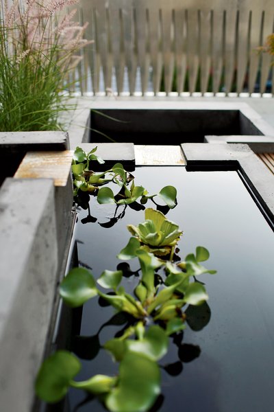 Meejin and her parents selected plants—water hyacinth to float in the water. Metal channels guide water from tier to tier.