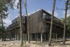 Located in a wooded the area, the facade camouflages the building into its surroundings. Photo of Kerckebosch modern home