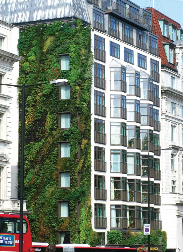 Image showcasing Photo 10 of 10 in Living Green Walls 101: Their Benefits and How They ...