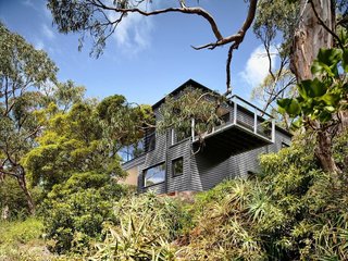 Large gum trees offer a natural barrier for the house. Harkness designed the house's footprint in order to minimize the effect on tree roots. "The retained trees offer a sense of layering and age that new vegetation won’t be able to for a long time," Harkness says.