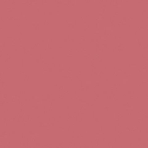 Pink Salmon by Glidden.