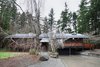 Nestled in a grove of Douglas fir trees, the house stands on series of wooden pylons in a Japanese-inspired fashion. Residents ascend the stairs, center, to reach its single floor. The exterior wooden shingles were intact and are original to the design. Photo of Zema Redux modern home