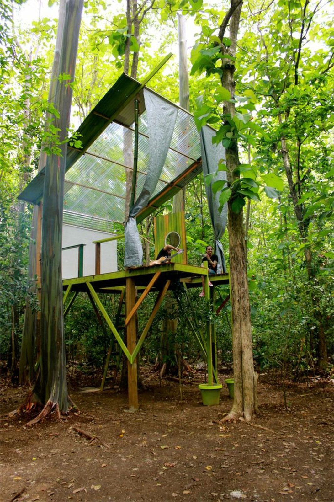 Columba Tree House / Madeiguincho