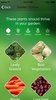After analyzing the soil and getting a GPS reading, the Edyn app will tell you which plants are best suited to your soil and local climate, and what time of year to plant them. Photo of Gardener's Best Friend: Soil Tracker that Automatically Irrigates modern home