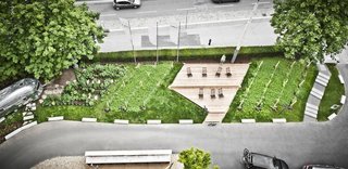 The front garden at the Hotel Daniel is the epitome of urban gardening. Guests can roam free and pick their own vegetables and grapes. The garden is also filled with tomatoes, cucumbers, pumpkins, and herbs.