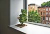 Like many apartments in early 20th-century row houses, architect Philip Ryan’s Brooklyn abode was the epitome of spatial inefficiency before reconfiguring the space. “If you put a lot of small things into a small space, it can feel twice as small,” Ryan says. “If you have an object with heft and mass, it makes everything feel larger. It seems contradictory, but it works.” This philosophy inspired space-saving techniques throughout the apartment, including the quirky window sill flowerpot recess. Photo of Unique Ways to Design with Recessed Space modern home