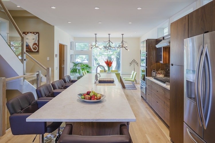 Photo 2 of 8 in The Most Impressive Green Homes in Chicago by Patrick ...
