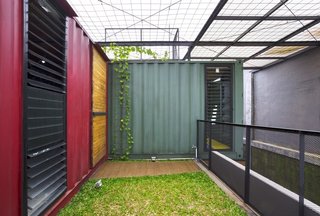 The top of the residence is wrapped in simple wire mesh to encourage plant propagation.