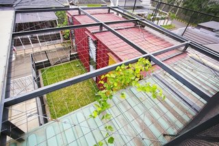 Covered with wire mesh, the green roof will continue to vegetate over time.