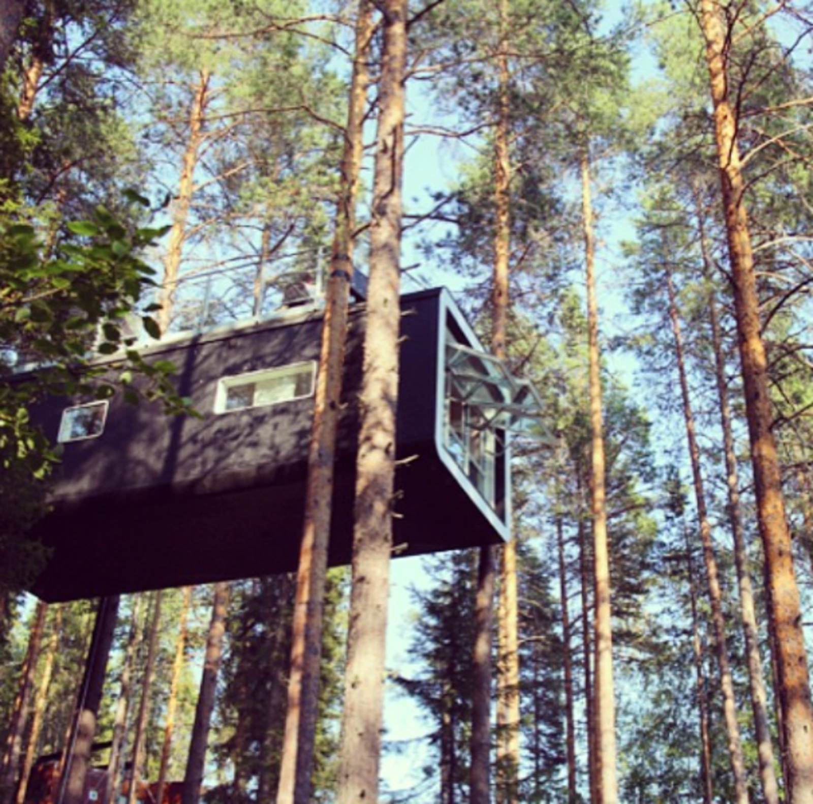 Search “modern treehouse belgium” from Inspiring Tree Houses of