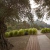Modern home with Outdoor, Walkways, Wood Patio, Porch, Deck, and Grass. Leading from the communal pool area to the more intimate olive tree grove, the intricate “woven” ipe boardwalk plays with a variety of lineweights and patterns. All of the wood used for the project is reclaimed. Photo of A Spa-Like Patio with Stunning Views Cascades Down a Los Angeles Hillside