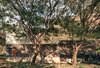 From certain exterior angles, the house appears hidden by its environment. The surrounding trees envelop the stone facade, casting organic shapes and shadows over the angular dwelling. Photo of This Super Green Home in Mexico Embraces Nature Through Huge Pivoting Glass Doors modern home