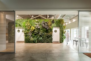 Overall, the plant wall covers over 1,200 square feet of surface area.