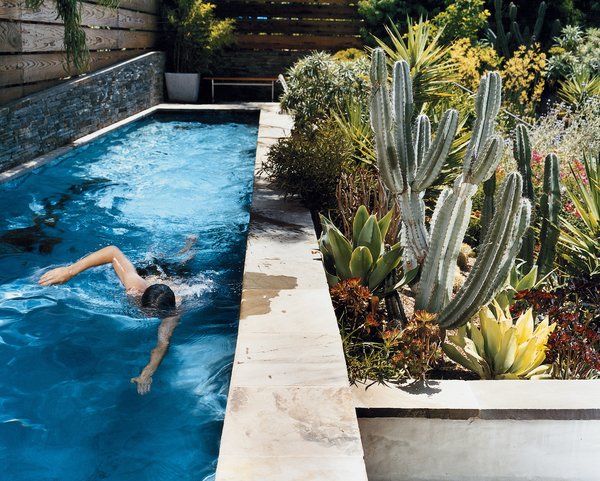 Photo 10 Of 10 In Small Pool Ideas From Pools Dwell
