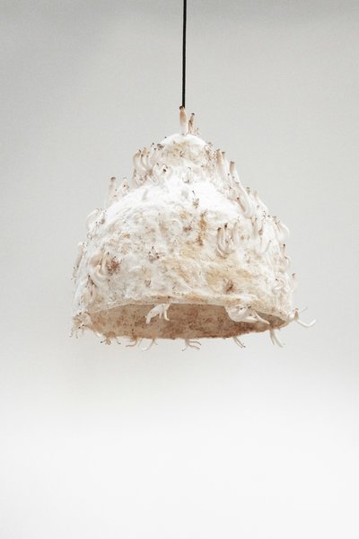 Jonas Edvard’s MYX lamp is made from plant fiber and fungus grown over the course of two to three weeks.