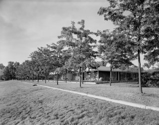 Dan Kiley famously planted two rows of honey locusts at the Miller House in Columbus, Indiana. The arbor flanks the western side of the Eero Saarinen–designed home, echoing <br>its geometric lines.