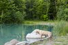 Modern home with Outdoor, Grass, Trees, Back Yard, Front Yard, and Side Yard. The 10-acre property offers ample terrain for the family and pets to explore. Otis examines the pond, which was deepened to 20 feet and stocked with trout. Photo 4 of The Land House