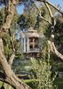 Modern home with Outdoor, Trees, Woodland, Front Yard, Shrubs, and Grass. Half-round bays project to form a balcony, a pergola, a dining alcove, and a bathroom. Dix Aluminium and Glass doors and windows face four reflection ponds. Photo 9 of Paarman Tree Home