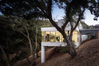 Two trunk-like columns support an aluminum-and-zinc-clad home in the foothills of the Santa Cruz Mountains designed by architect Craig Steely. With an intention to disrupt as few oak trees on the dense site as possible, Steely built the glass-walled house to nestle against the steep hillside. Visitors access the entrance from above, descending to the living spaces via a native grass-covered roof.