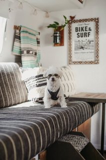 No matter the destination, the couple's poodle, Riley, always tags along for the ride.