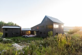 Native Plants Form a Meadow-Like Habitat for a Rustic New York Home