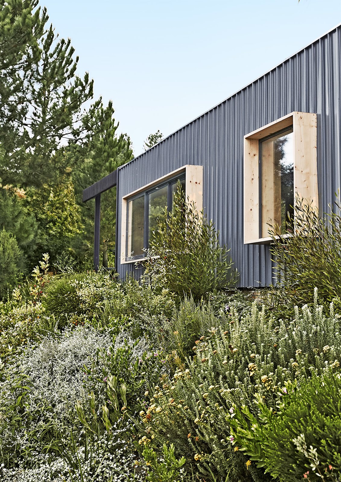 Boxy spruce-framed windows punctuate the 1,615-square-foot structure, which is clad in corrugated metal.