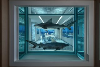 Guests encounter Winner/Loser (2018), two bull sharks preserved in formaldehyde, upon entering the suite.