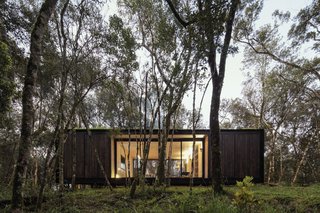A Brazilian Couple’s Prefab Cabin Is the Perfect Outpost For Forest Bathing