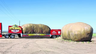 Before becoming firmly planted in an expansive field in South Boise, the giant potato traveled across the country on the back of a truck as part of the Idaho Potato Commission's Big Idaho Potato Tour. The tour was originally only supposed to be for one year, but it ended up lasting seven due to popularity.