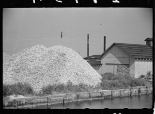 Oyster middens—huge heaps of discarded shells—like this one in New Jersey have been a rich building resource in U.S. history, providing raw material for making mortar.